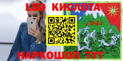 прущие грибы Будённовск