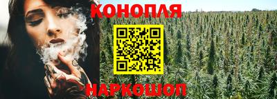 прущие грибы Будённовск