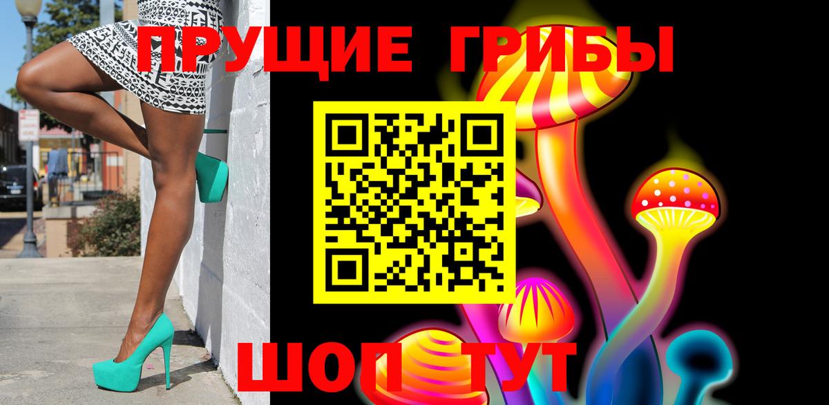 Галлюциногенные грибы Psilocybine cubensis Ярославль