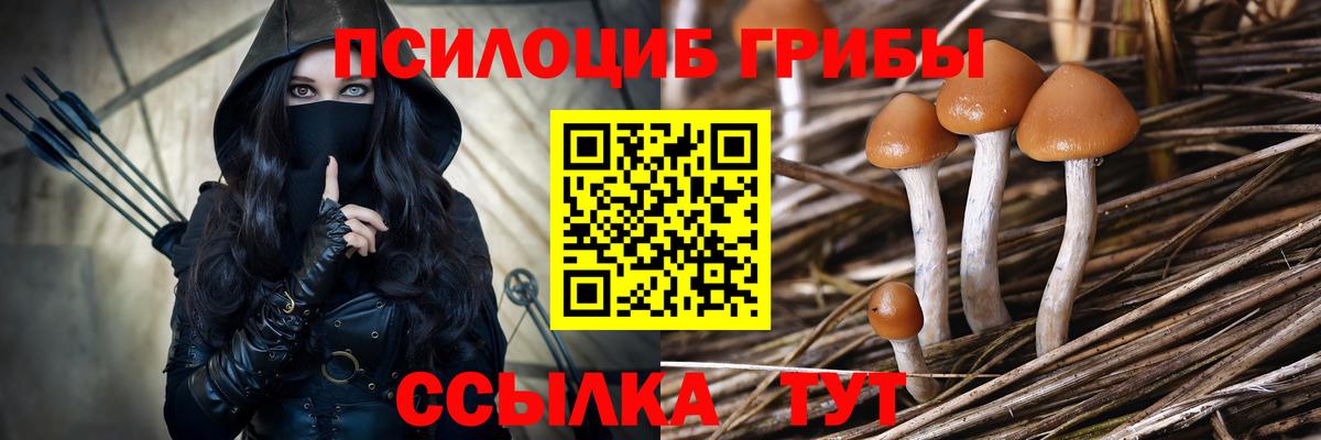 Ярославль  Псилоцибиновые грибы ЛСД  Вход с VPN 